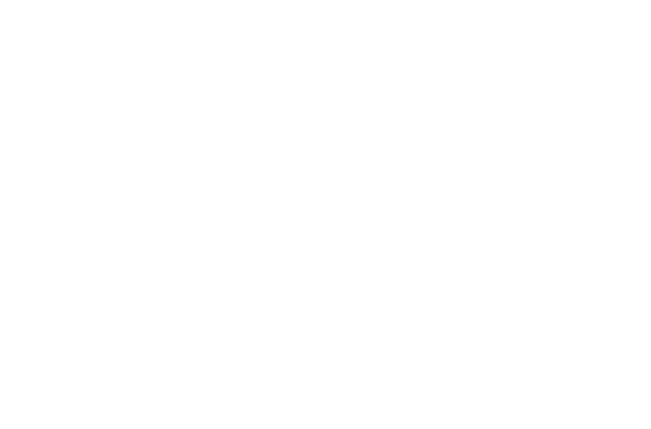 Invest Fest